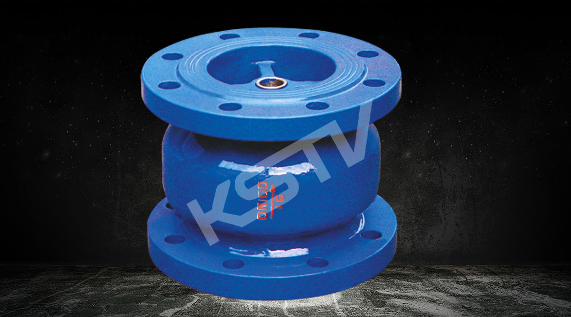 ��ֹ���y